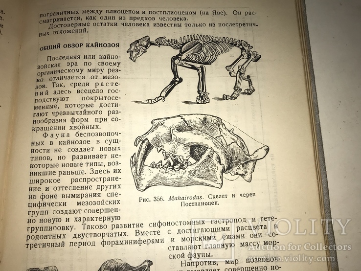 1934 Книга Коллекционера Окаменелостей Палеофаунистика Динозавры, фото №11
