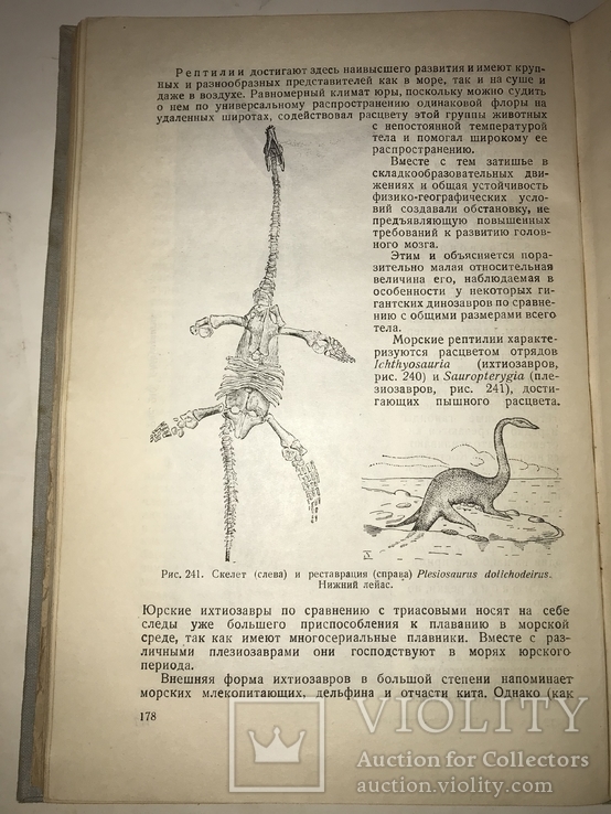 1934 Книга Коллекционера Окаменелостей Палеофаунистика Динозавры, фото №12