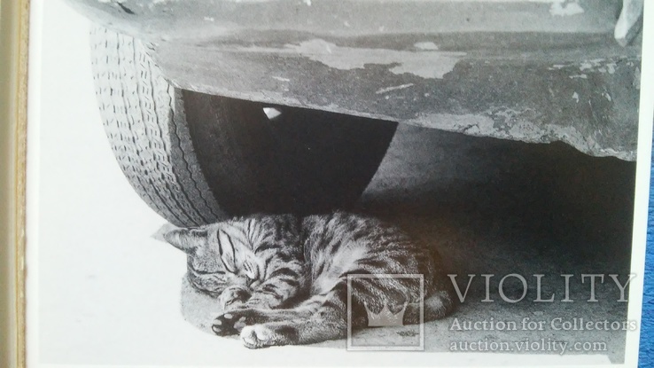 Открытки CATS - (кошка) 18 шт. 1 лотом, фото №5