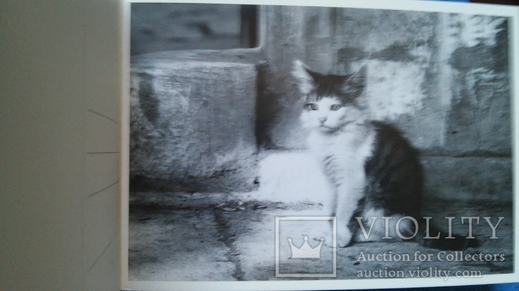 Открытки CATS - (кошка) 18 шт. 1 лотом, фото №11