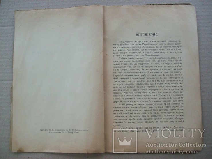 1914 р. Київ "Проект сушарні для овочів та фруктів" Д.Терешівський, фото №4