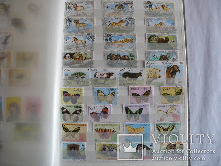 Около 200 марок и 56 сцепок,м.л., темы Фауна,флора в альбоме, photo number 9