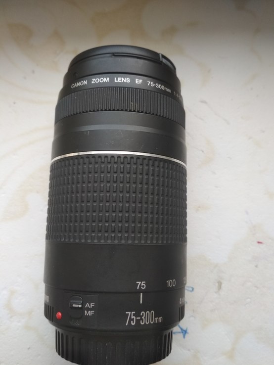 Объектив Canon Zoom lens EF 75-300mm, numer zdjęcia 3