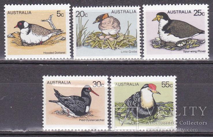 Австралия птицы MNH