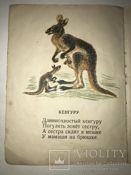 1938 Мой Зоосад Детская красочная книга, фото №5