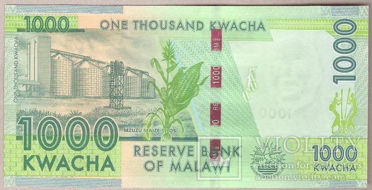 Малави 1000 квача 2014 г. Unc, фото №3