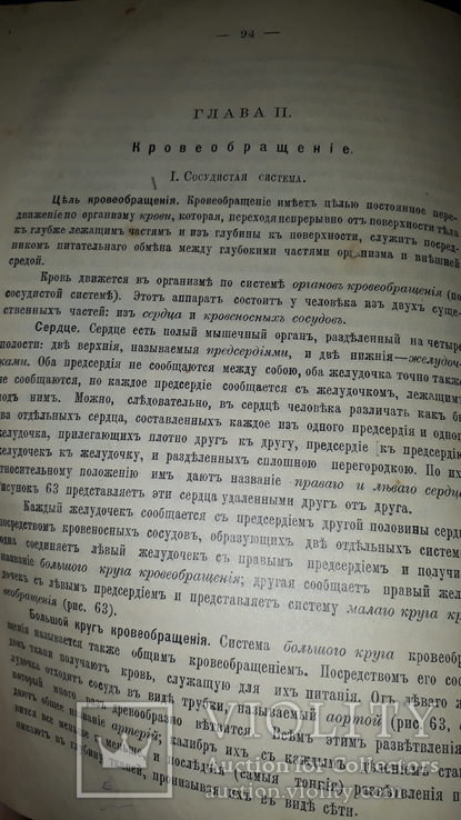 1908 Анатомия и физиология человека, numer zdjęcia 3