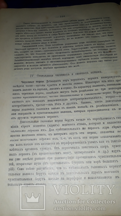 1908 Анатомия и физиология человека, photo number 5
