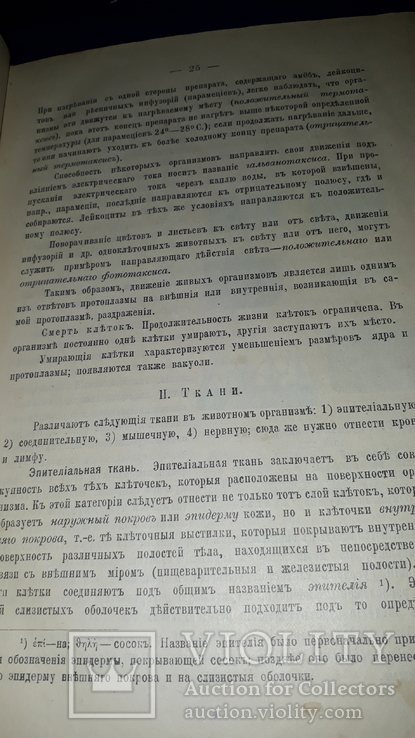 1908 Анатомия и физиология человека, numer zdjęcia 7