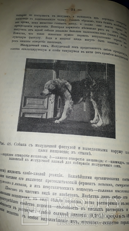 1908 Анатомия и физиология человека, фото №8