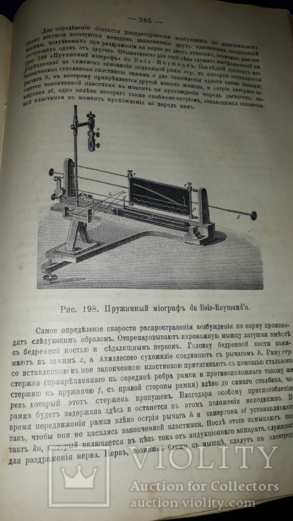 1908 Анатомия и физиология человека, numer zdjęcia 10