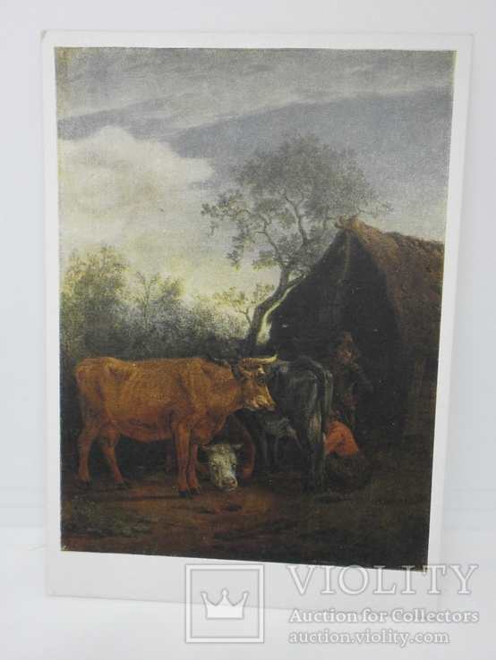 Открытка 1956 худ Поттер, Доение коров. Ферма. Корова, фото №2