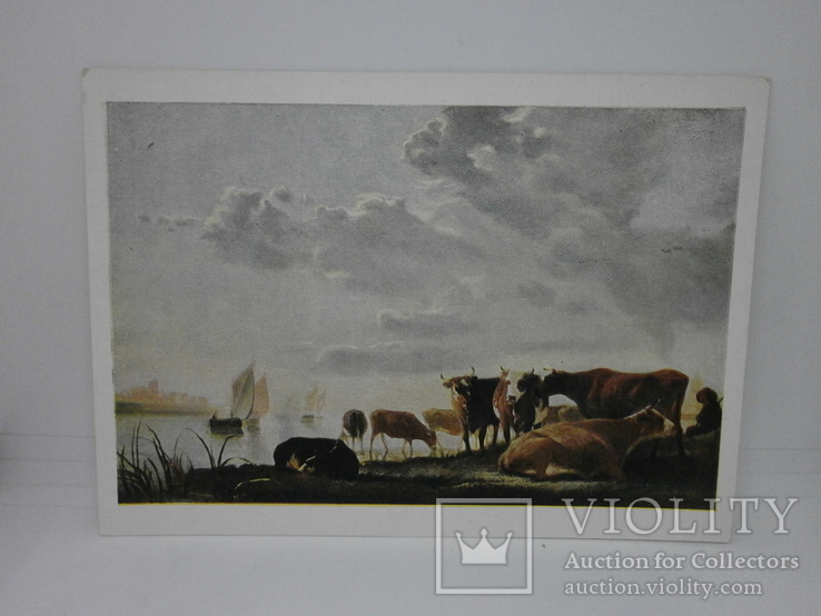 Открытка 1958 худ Альберт Кейп. Коровы на берегу реки, фото №2