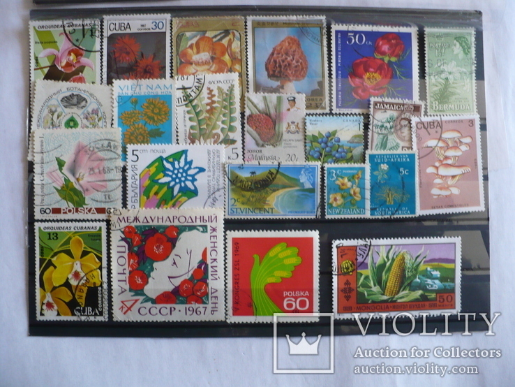100 марок Флора разных стран, фото №3