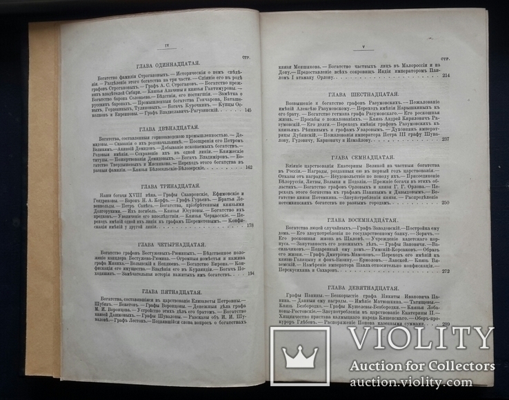 Замечательные богатства частных лиц в России Е. П. Карновича. Второе издание. 1885., фото №5