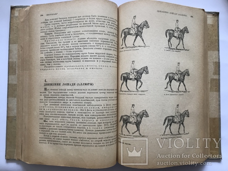 Книга о Лошади, 2 тома., фото №8