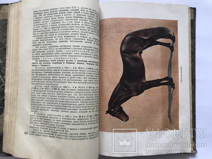 Книга о Лошади, 2 тома., фото №11
