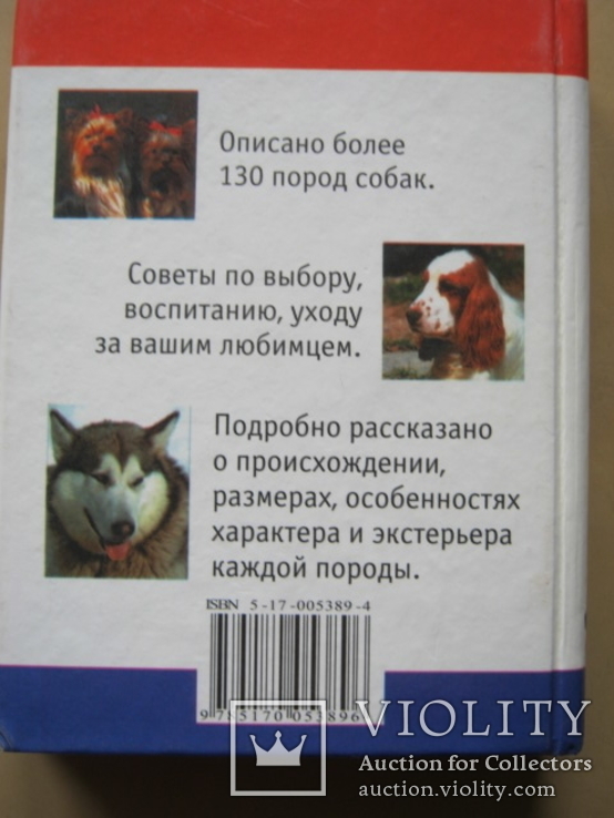 Мини-энциклопедия  Собаки, фото №4