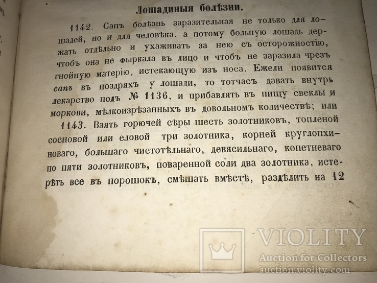 1866 Настоящий Народный Лечебник, фото №3