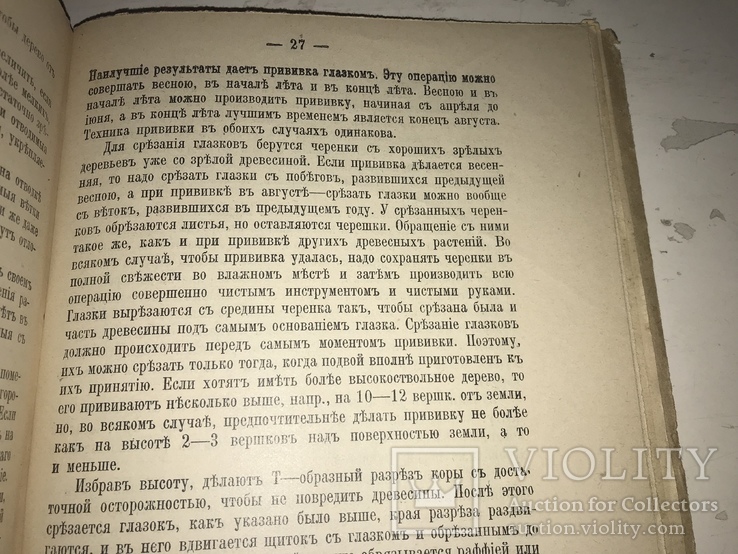 1914 Как вырастить Лимоны и Апельсины в комнате, фото №4