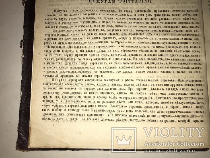 1875 Жизнь Птиц Книга с Шикарными гравюрами, фото №10