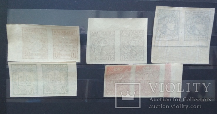 Спарка марки унр шаги 1918 повна серія, фото №3