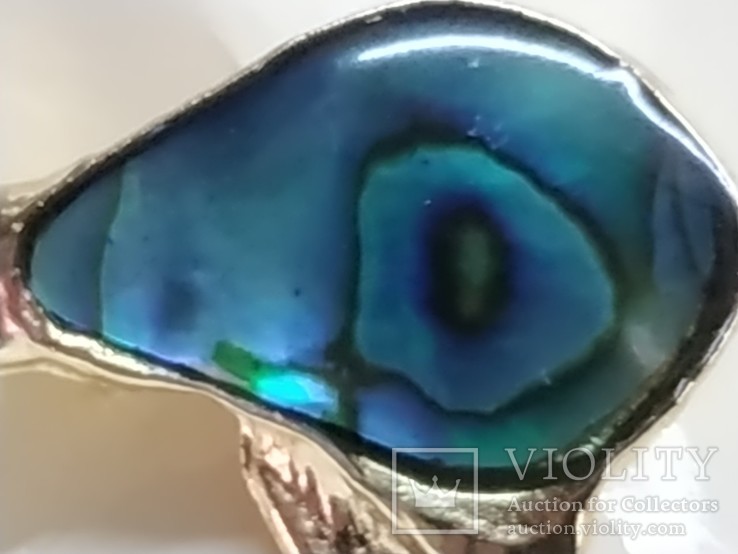 Брошь Kiwi.  Paua Shell. Новая Зеландия., фото №11