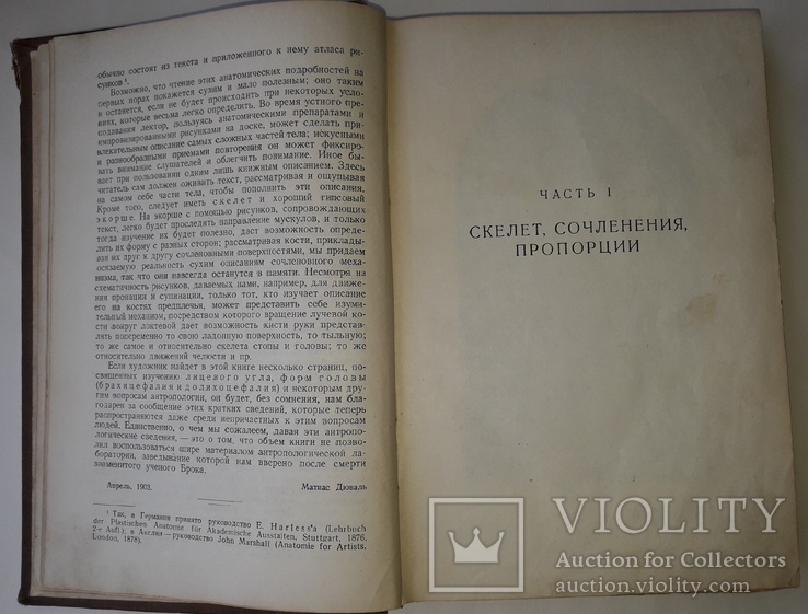 М.Дюваль, Анатомия для Художников, 1940 год, фото №3