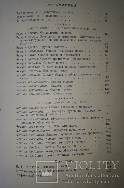 М.Дюваль, Анатомия для Художников, 1940 год, фото №10