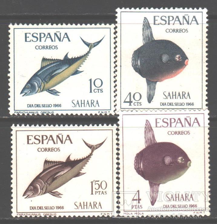 Испанская Сахара. 1966. Морская фауна **.