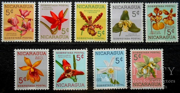1965 г. Никарагуа. Флора. Цветы. (**), фото №2