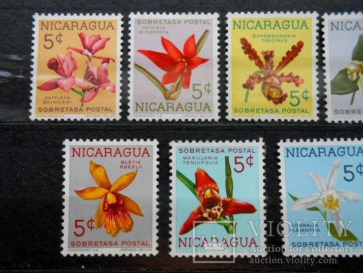 1965 г. Никарагуа. Флора. Цветы. (**), фото №3