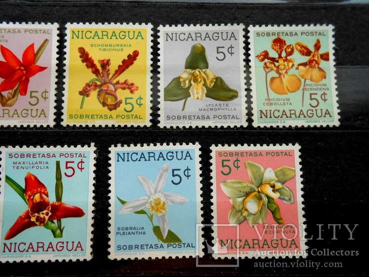 1965 г. Никарагуа. Флора. Цветы. (**), фото №4