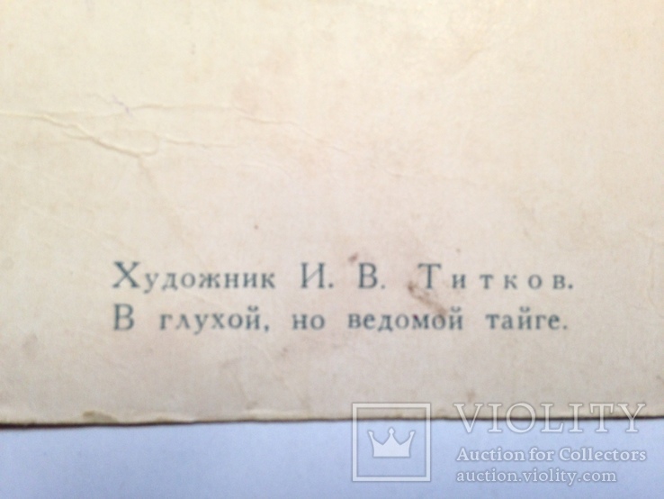 Открытка В глухой но ведомой тайге Худ. И.В. Титков 1957 СХ. подписана. А, фото №7