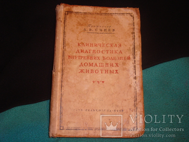 Клиническая диагностика болезней дом. животных 1946 г., фото №2