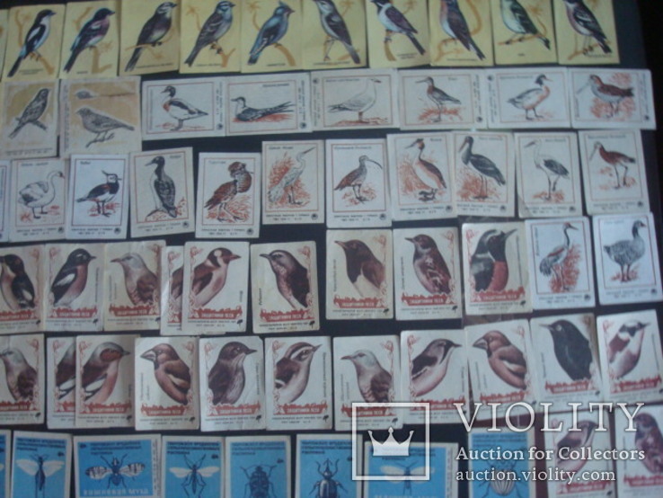 Этикетки от спичек СССР, фото №5