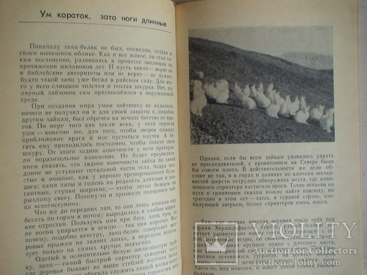 Йор Евер "Звериные тропы и птичьи пути" 1972р., фото №4