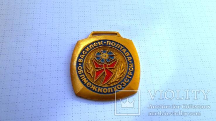 Памятная медаль пионерского лагеря г. Полтавы "Василёк", фото №2