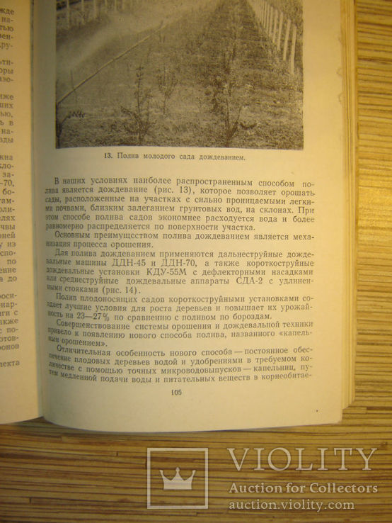 Агроуказания по плодоводству для Молдавской ССР., фото №6