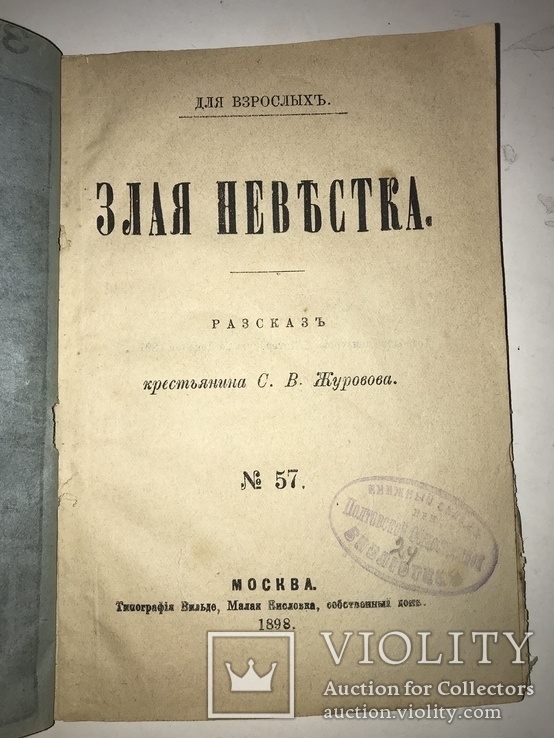 1898 Злая Невестка Старинная Житейская Книга, фото №8