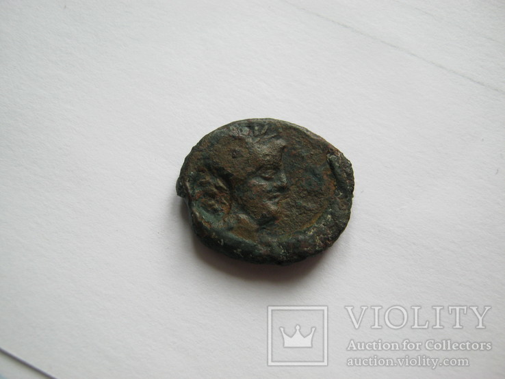 Ольвия, дихалк 160 - 150 до н.э., фото №2