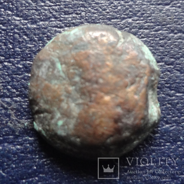 Античная монета  Пантикапей  (U.7.9)~, фото №2