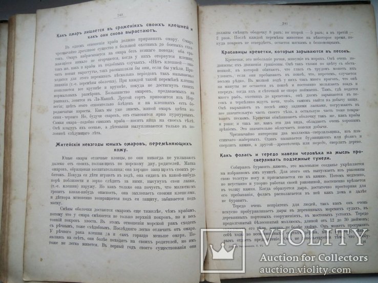 Детская энциклопедия 1913г том4, фото №9