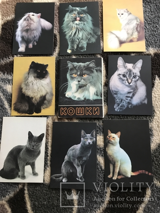 Набор открыток Кошки
