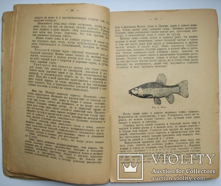 1928  Спутник рыболова-удильщика. Рождественский, Н., фото №8