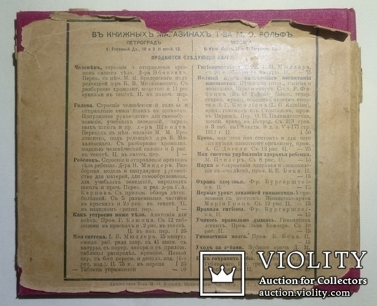 1912  Как устроено наше тело. Анатомия для всех, фото №4