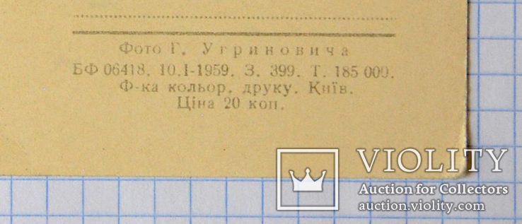 Листівка "Київ. Пішоходний міст через Дніпро" (1959 р.), фото №4