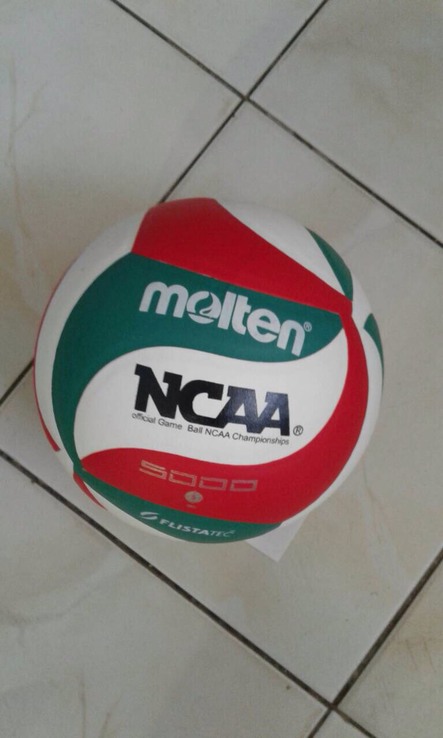 Волейбольный мяч Molten