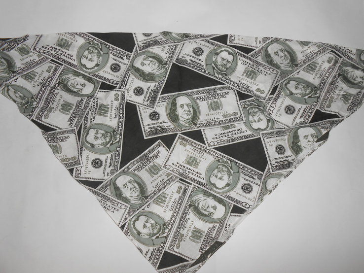 Бандана в долларах, фото №4