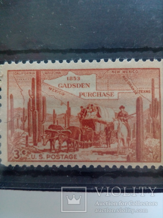 CША MNH